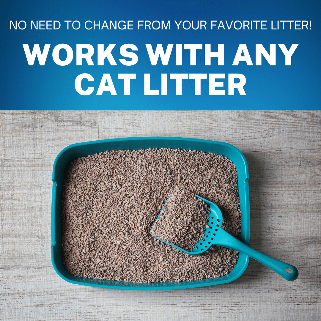 RX Cat Health Indicator