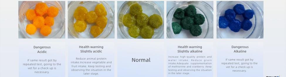 DrDog Rx – Dog Urine Health Indicator | CatSpot Litter