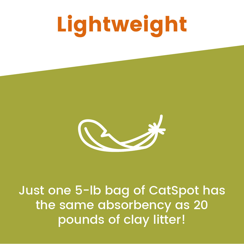 100% Natural Cat Litter – Non-Clumping & Odor-Free | CatSpot