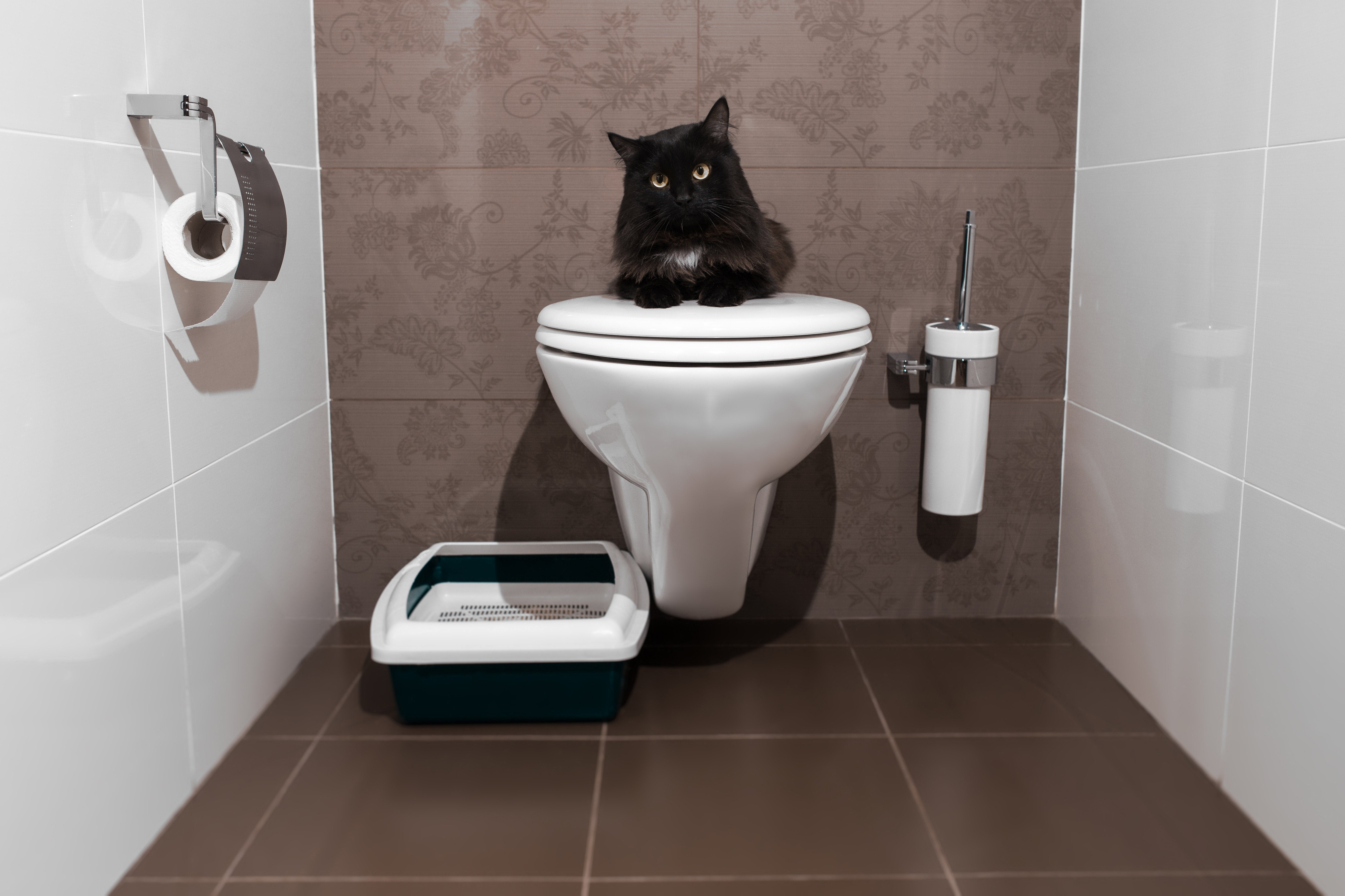 flushable litter CatSpot Litter
