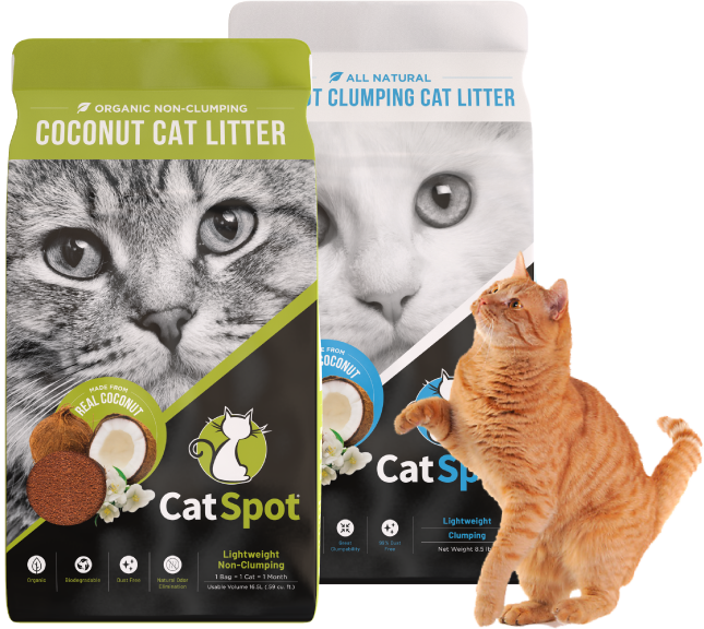 Catspot litter free sample best sale