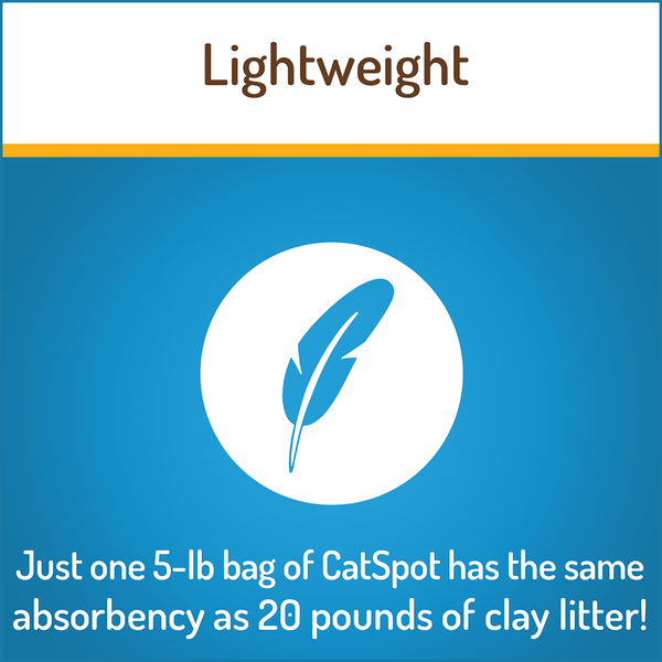 Cat sales spot litter